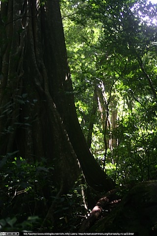 IMG_8016(www_biologieunterricht_info)